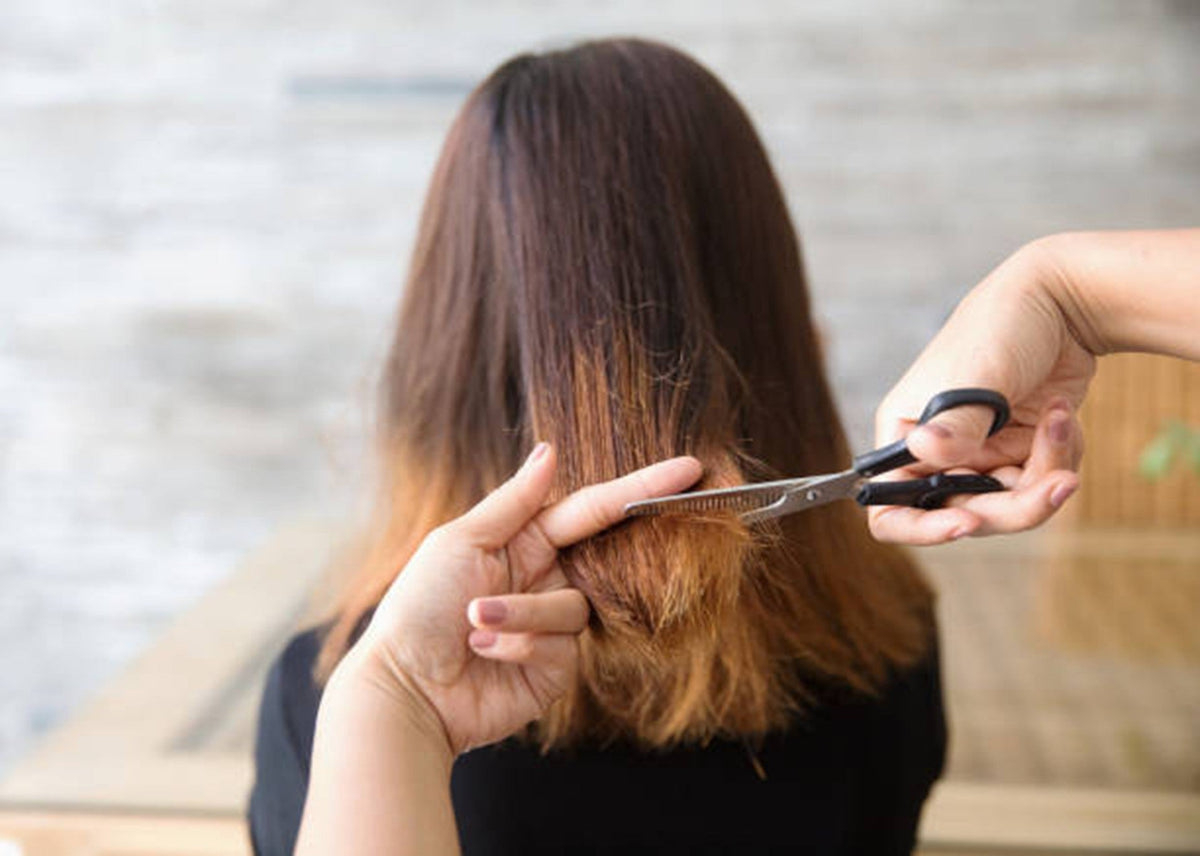 Repairing Damaged Hair After Bleach: What Actually Works at Home
